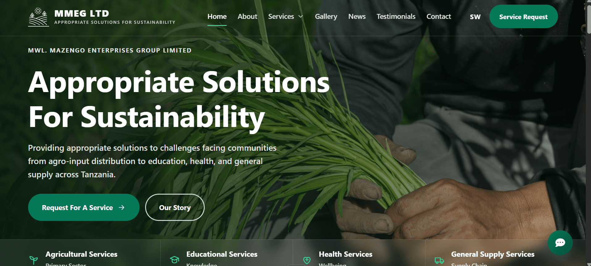 Mazengo Enterprise Website